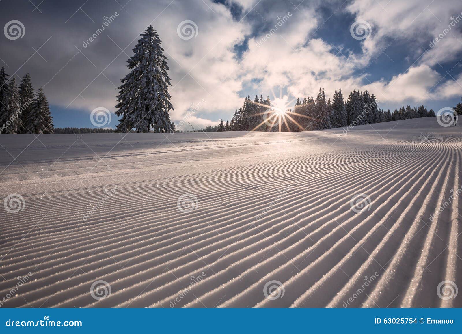 Groomed Skiing Slope in Black Forest, Germany Stock Photo Image of