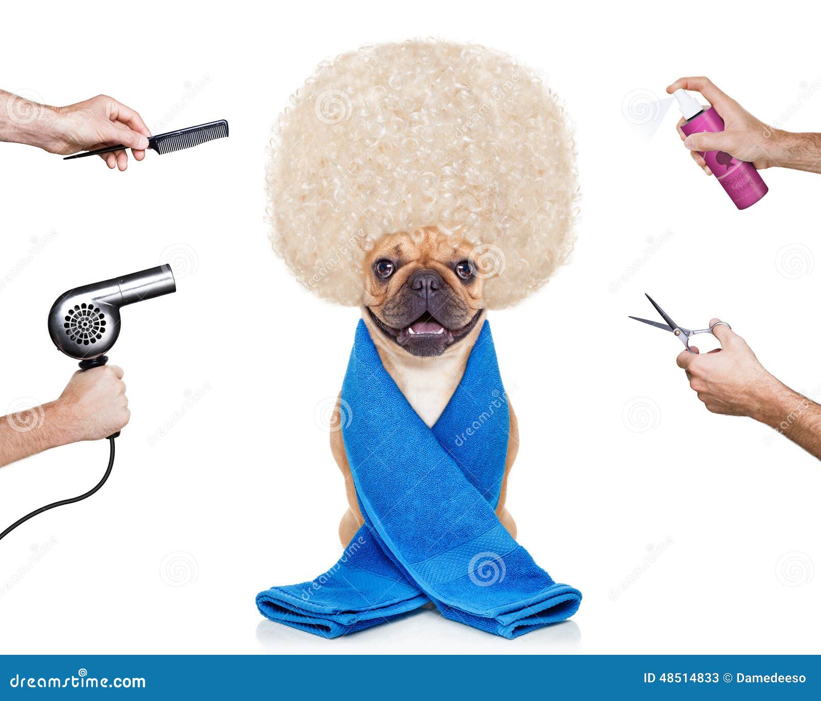 free clipart of dog grooming - photo #48