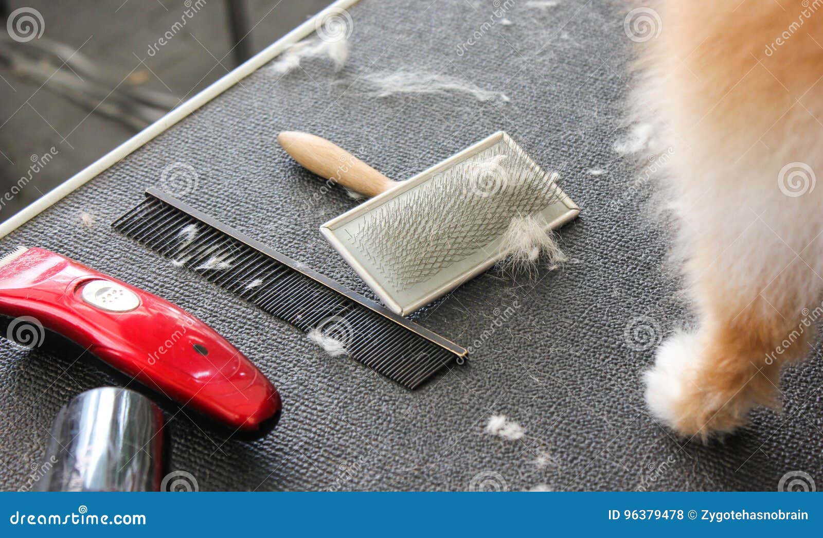 Grooming Equipment for Dogs Stock Photo Image of animal, background