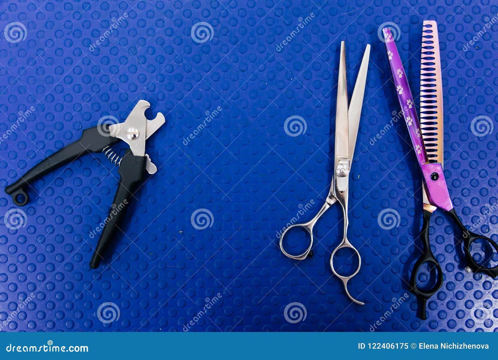 Grooming tools for pets stock image. Image of grooming 122406175