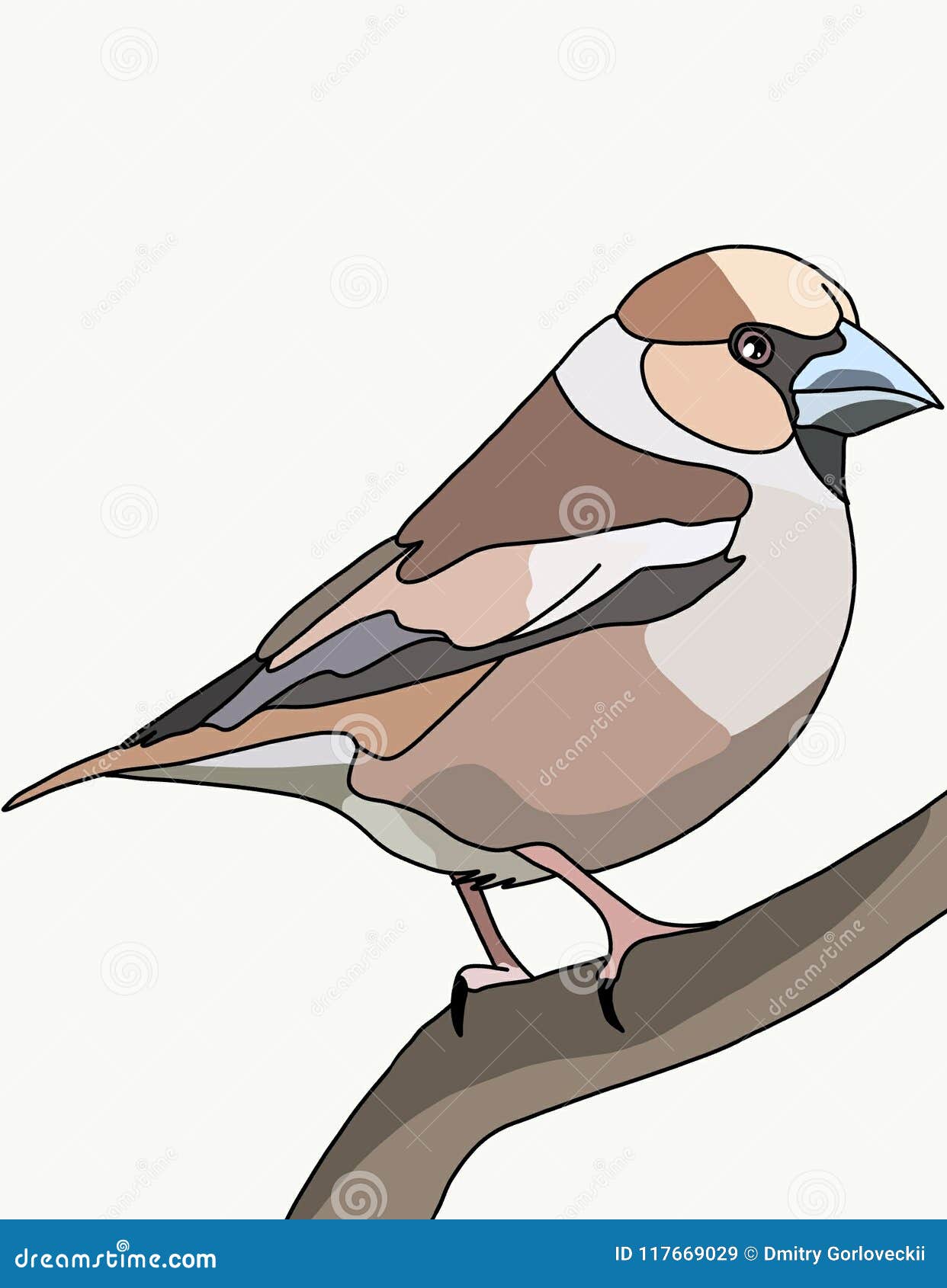 Gros Bec Doiseau Illustration Stock Illustration Du Massif