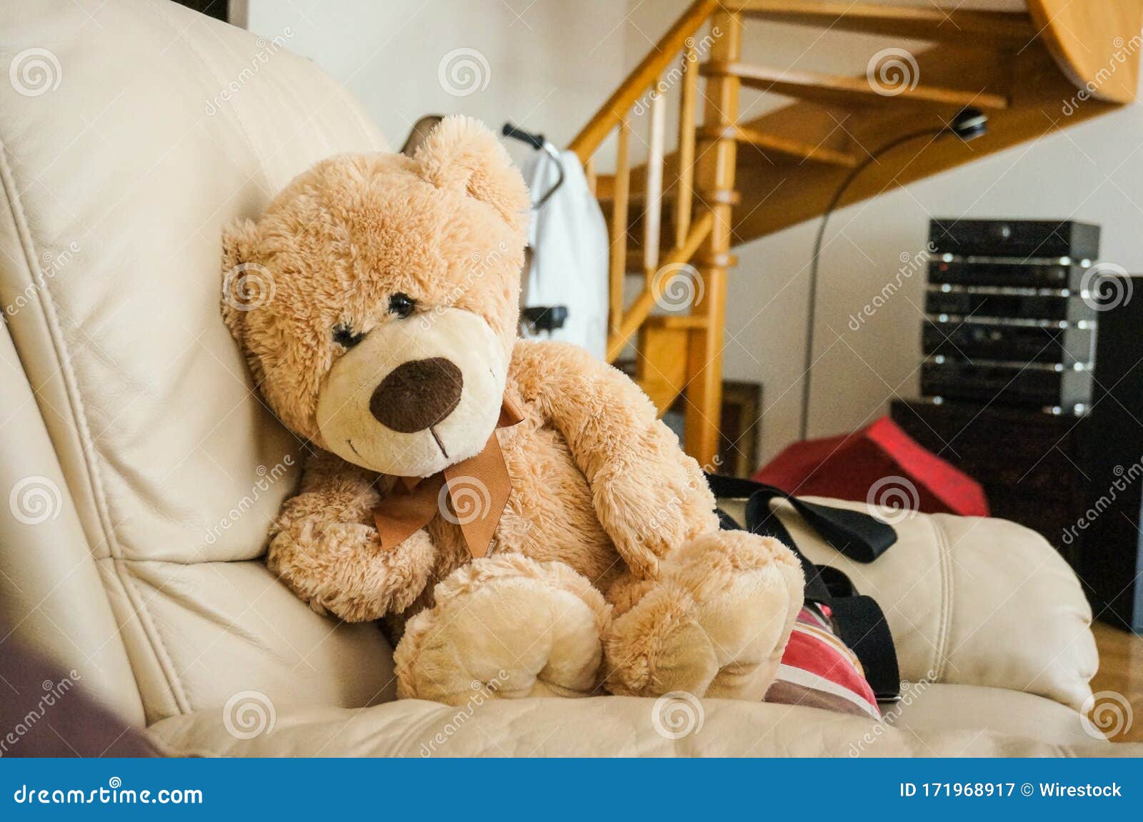 Gros Nounours Sur Le Canapé Image stock - Image du femelle, visage:  171968917