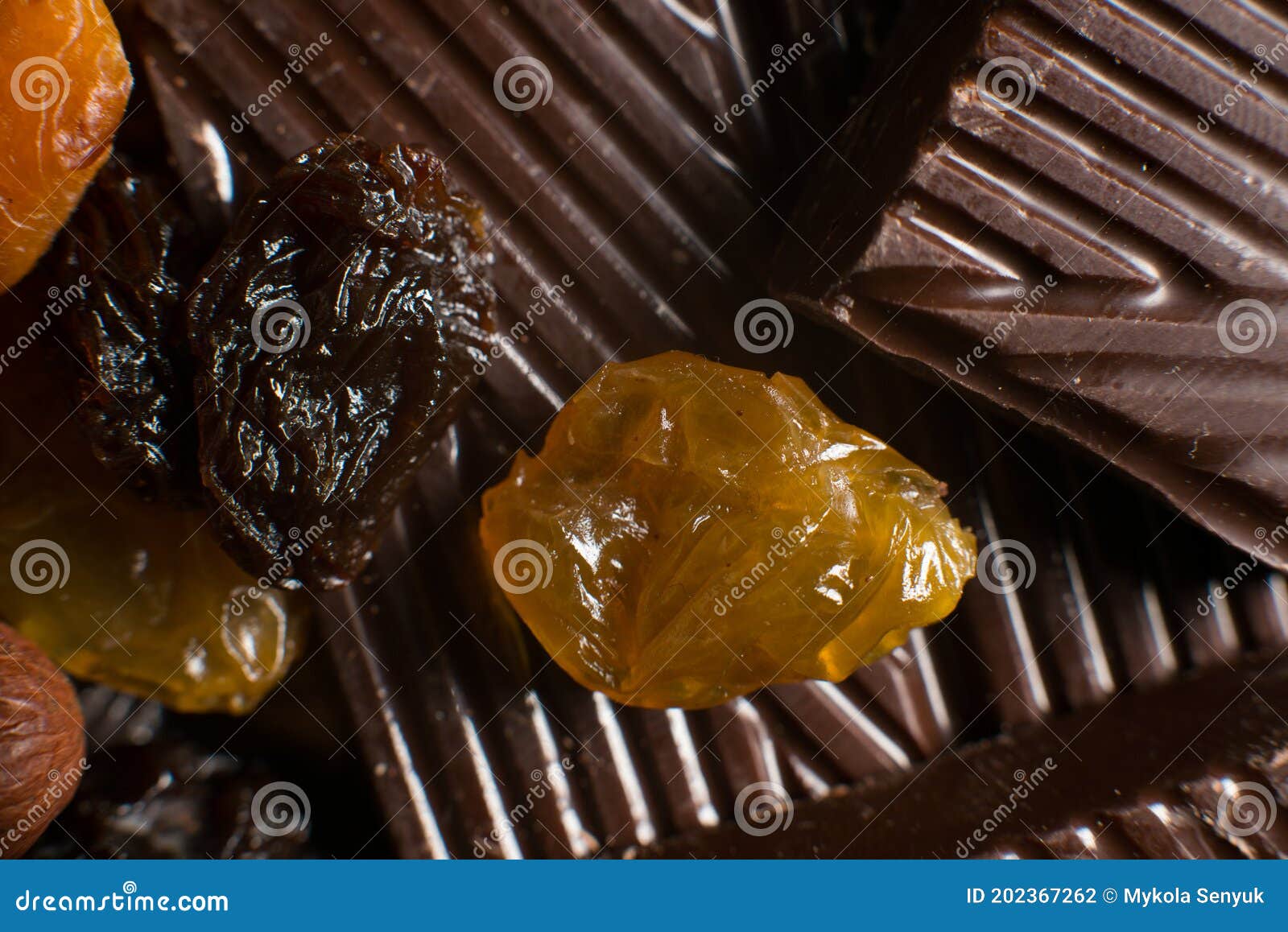 Bonbons Au Chocolat Faits Maison Avec Des Noix Et Des Fruits Secs