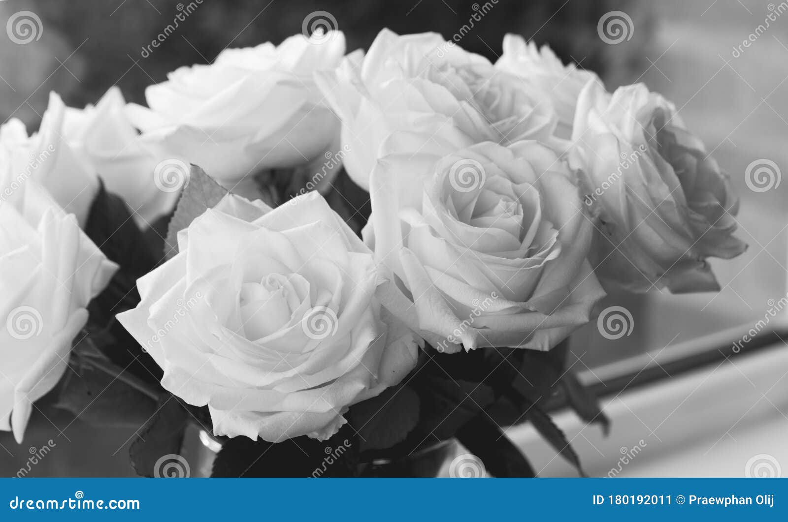 Gros Plan Un Tas De Rose Blanche Dans Le Vase Noir Et Blanc Photo Image  stock - Image du lame, bouquet: 180192011