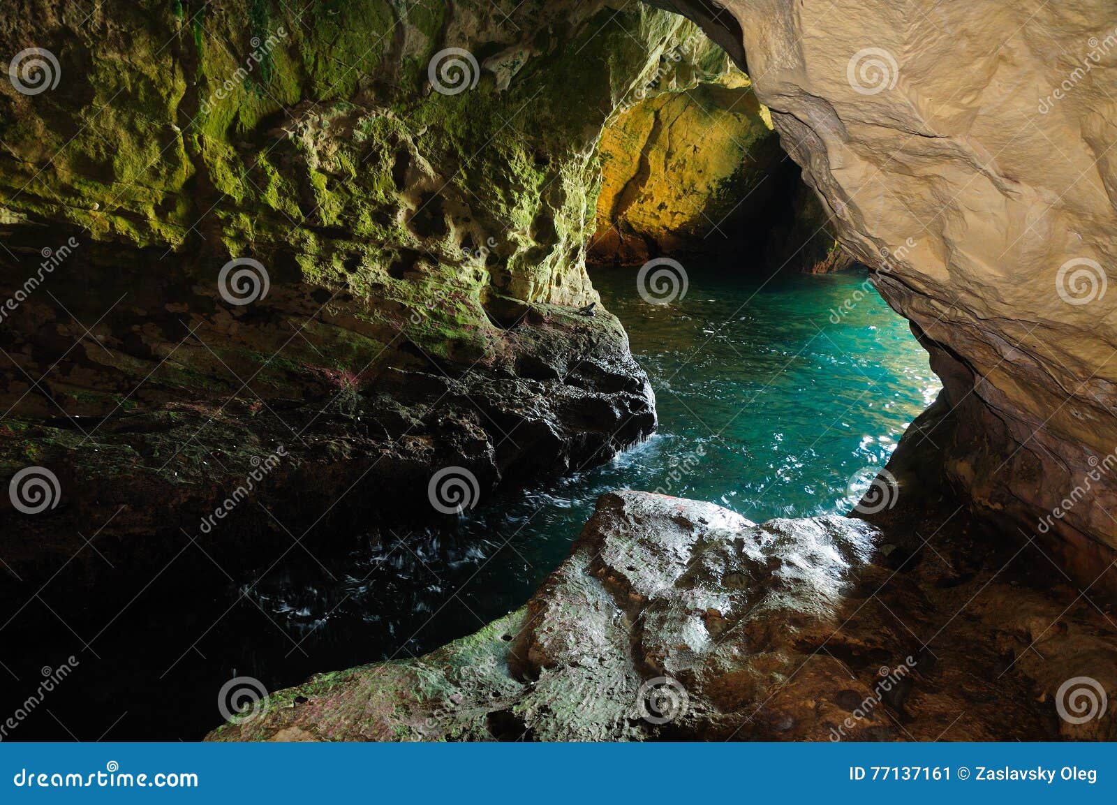 Northern Rocky Mountain Grotto