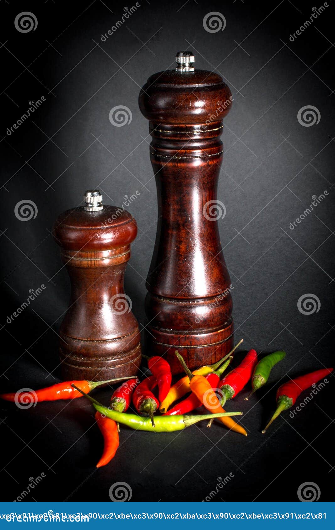 Ground Black Pepper in a Salt Shaker Stock Image Image of taste