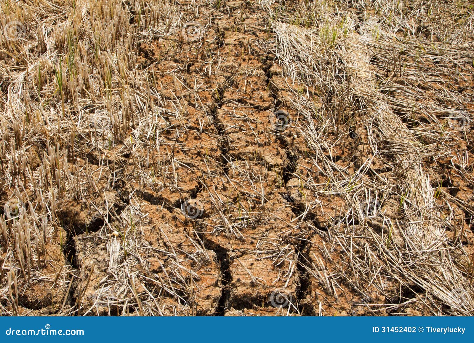 Ground broken. stock photo. Image of detail, closeup 31452402