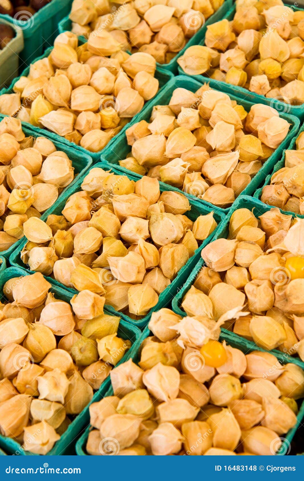 Ground Cherries stock photo. Image of summer, retail 16483148