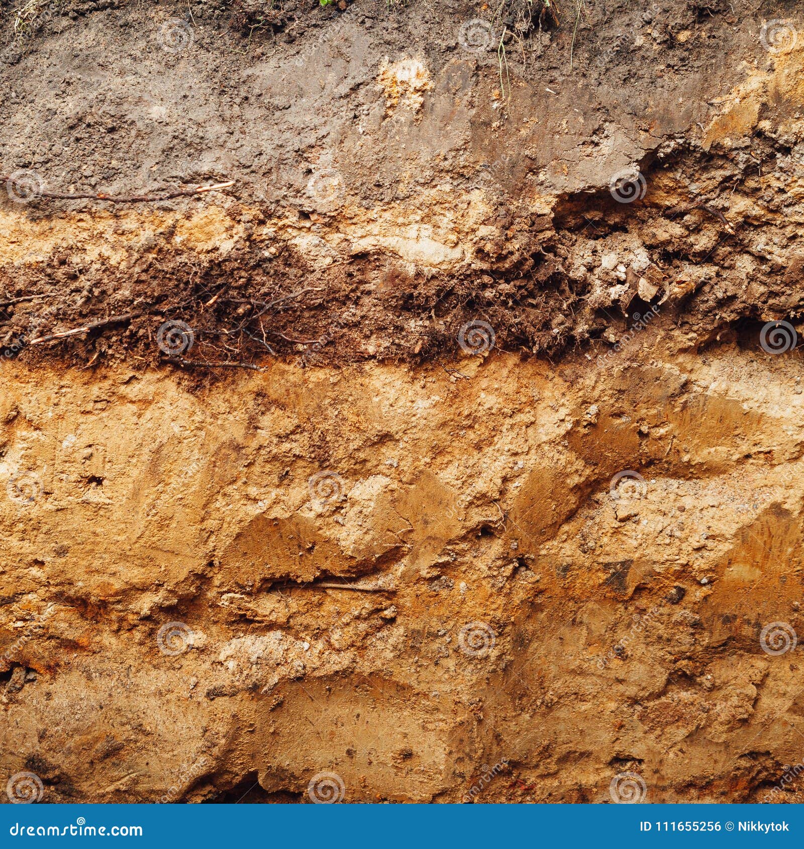 ground in cross section