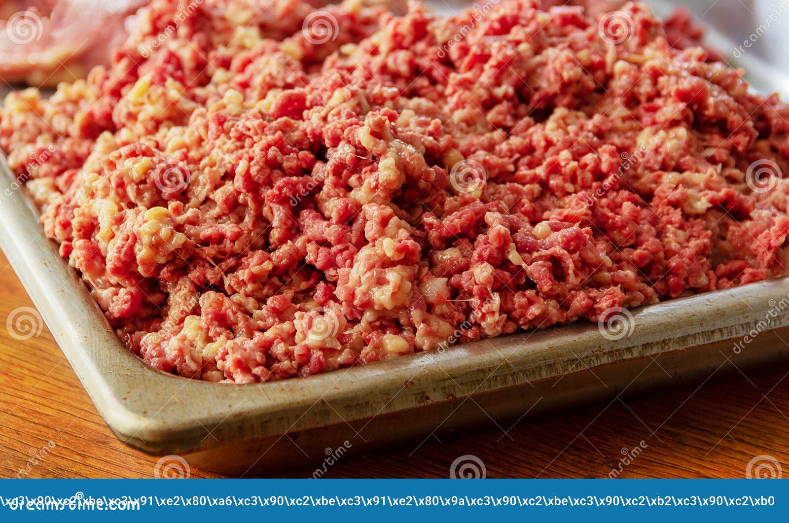 Ground goose meat stock image. Image of table, minced 116700153