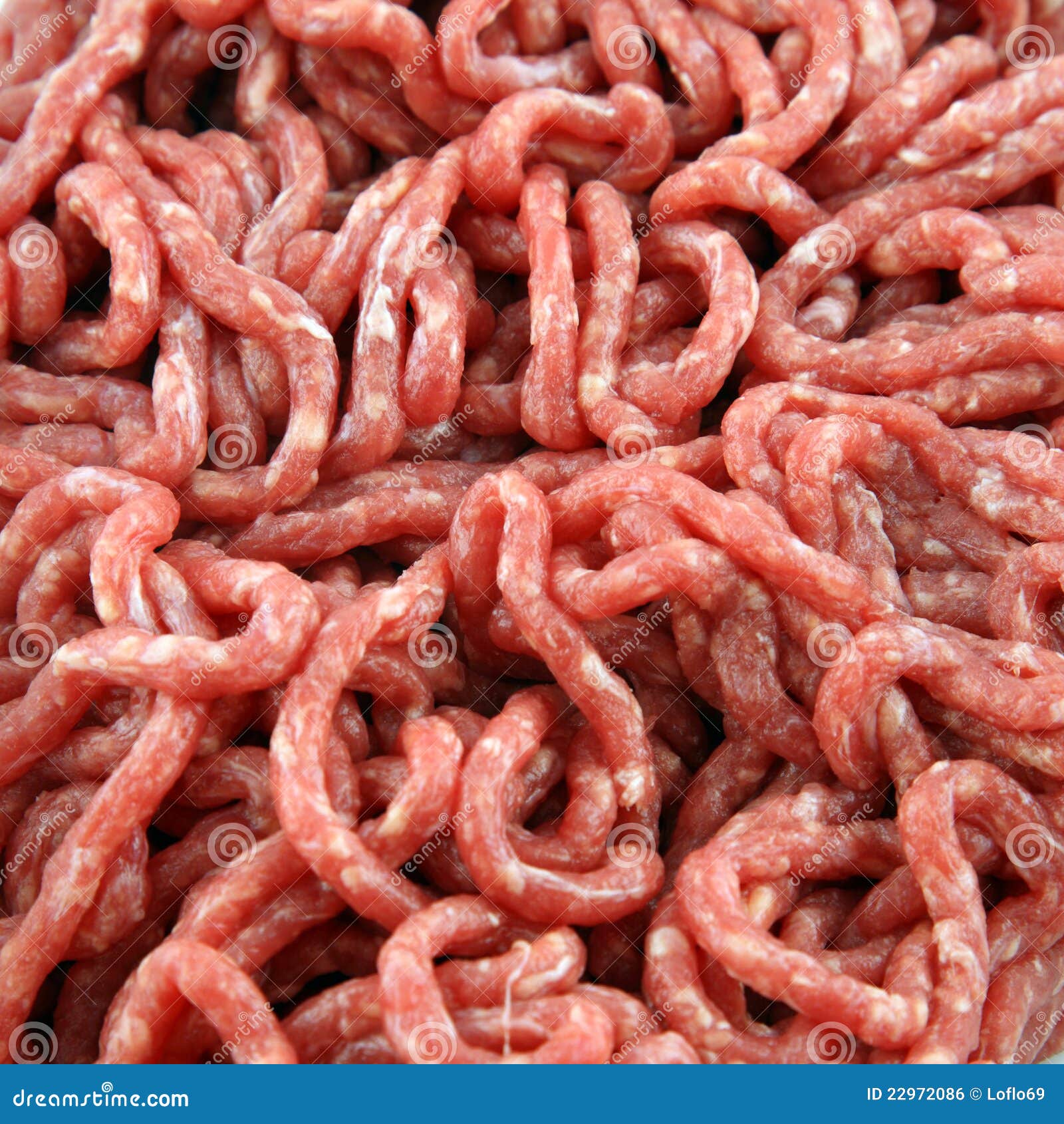 Ground meat stock photo. Image of ground, mince, beef 22972086