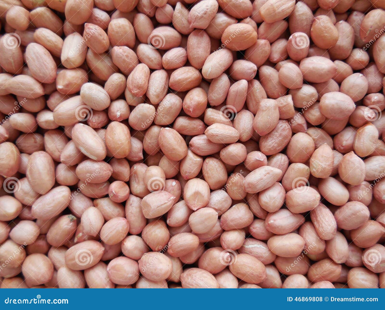 Ground nut seeds stock photo. Image of pleasant, protein 46869808