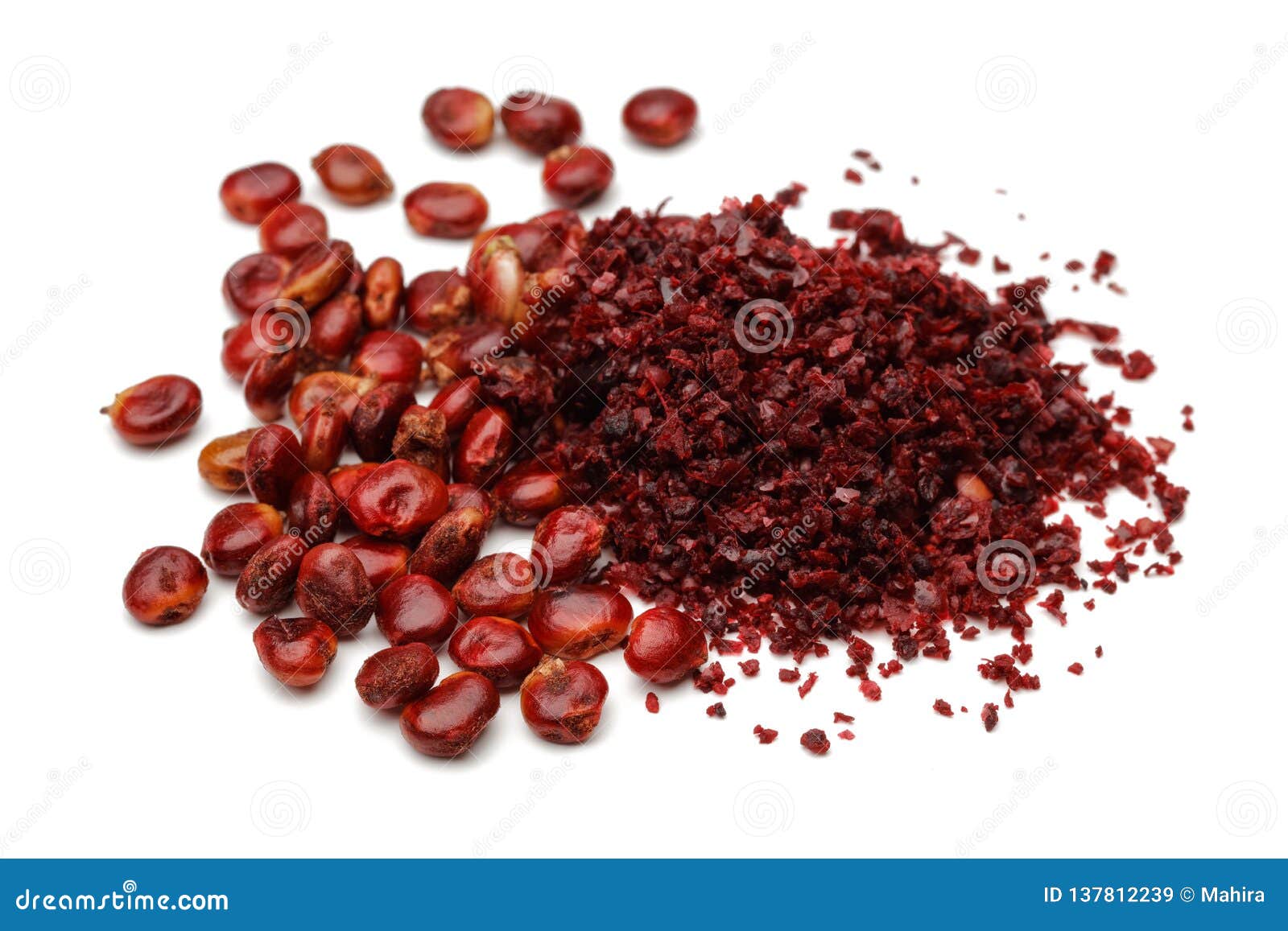 Ground Sumac and Berries on White Background Stock Image Image of