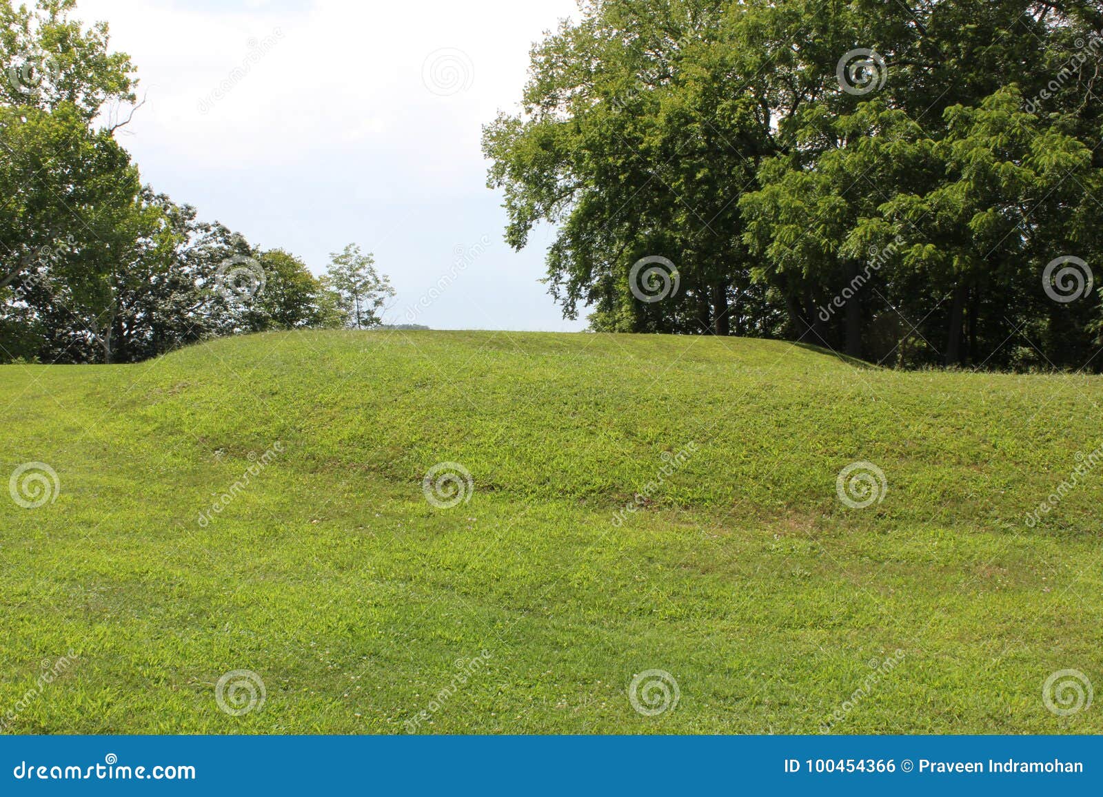 ground view of the coiled tail part of serpent mound