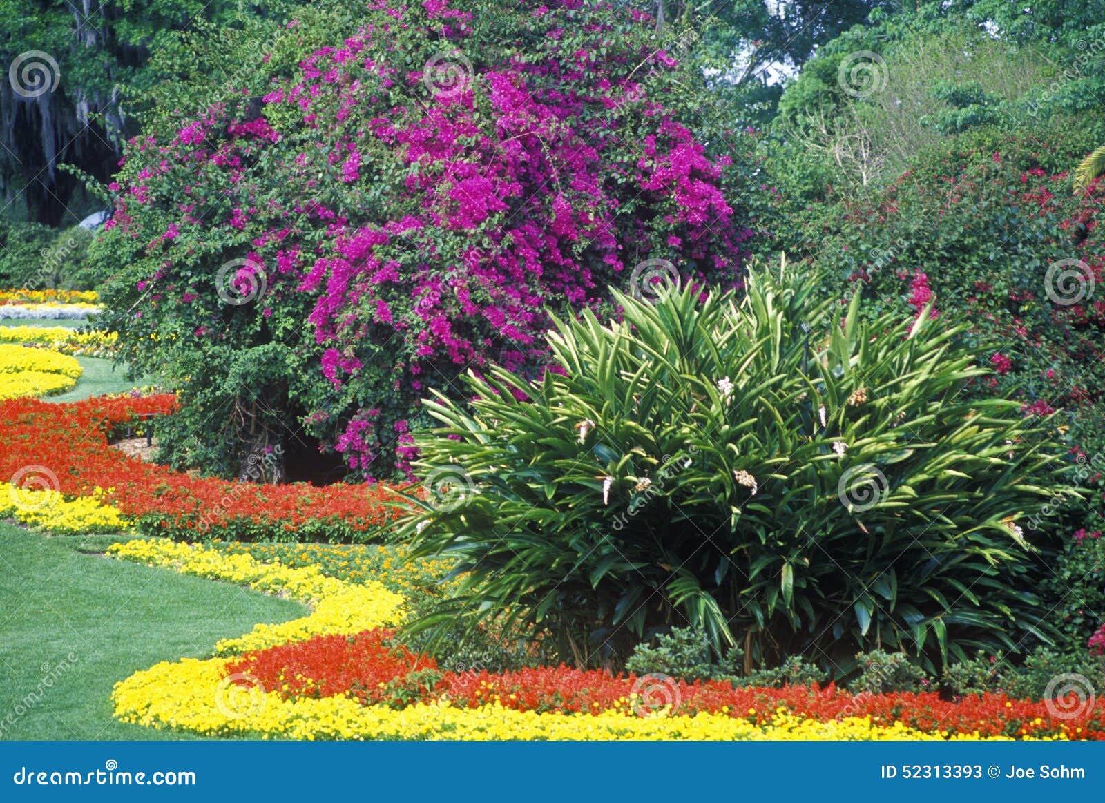 Grounds of Cypress Gardens, FL Stock Image Image of landscaping
