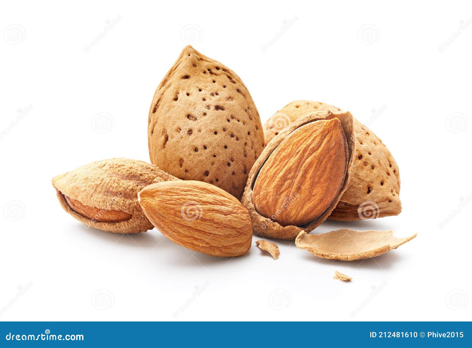 Group of Almonds Nut with Shell Stock Photo Image of color, macro