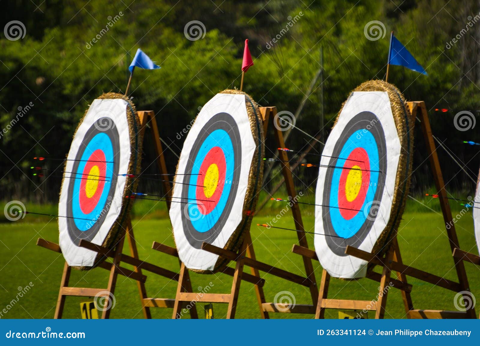 Archery Competition Target Coat of Arms Arrows Archer Sight Stock Photo