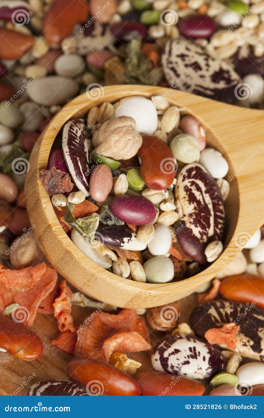 Group of Assorted Dry Beans Stock Photo Image of kidney, food 28521826