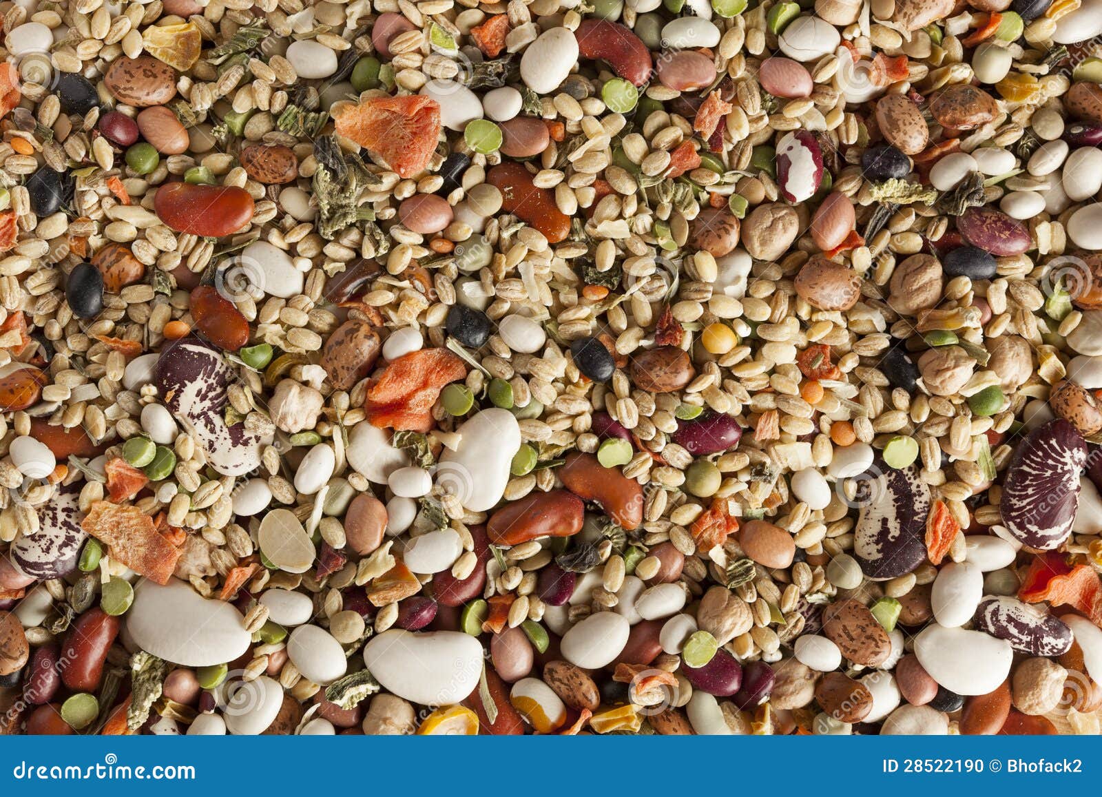 Group of Assorted Dry Beans Stock Photo Image of nutrition, food