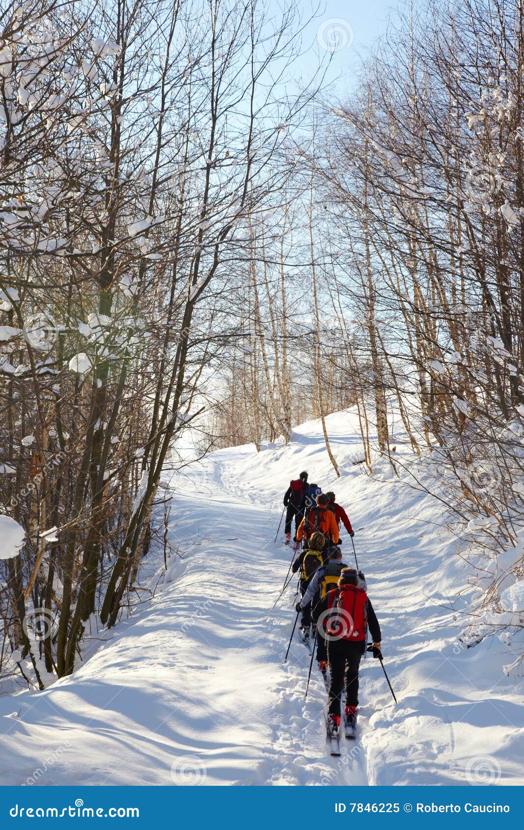 a group of backcountry skiers