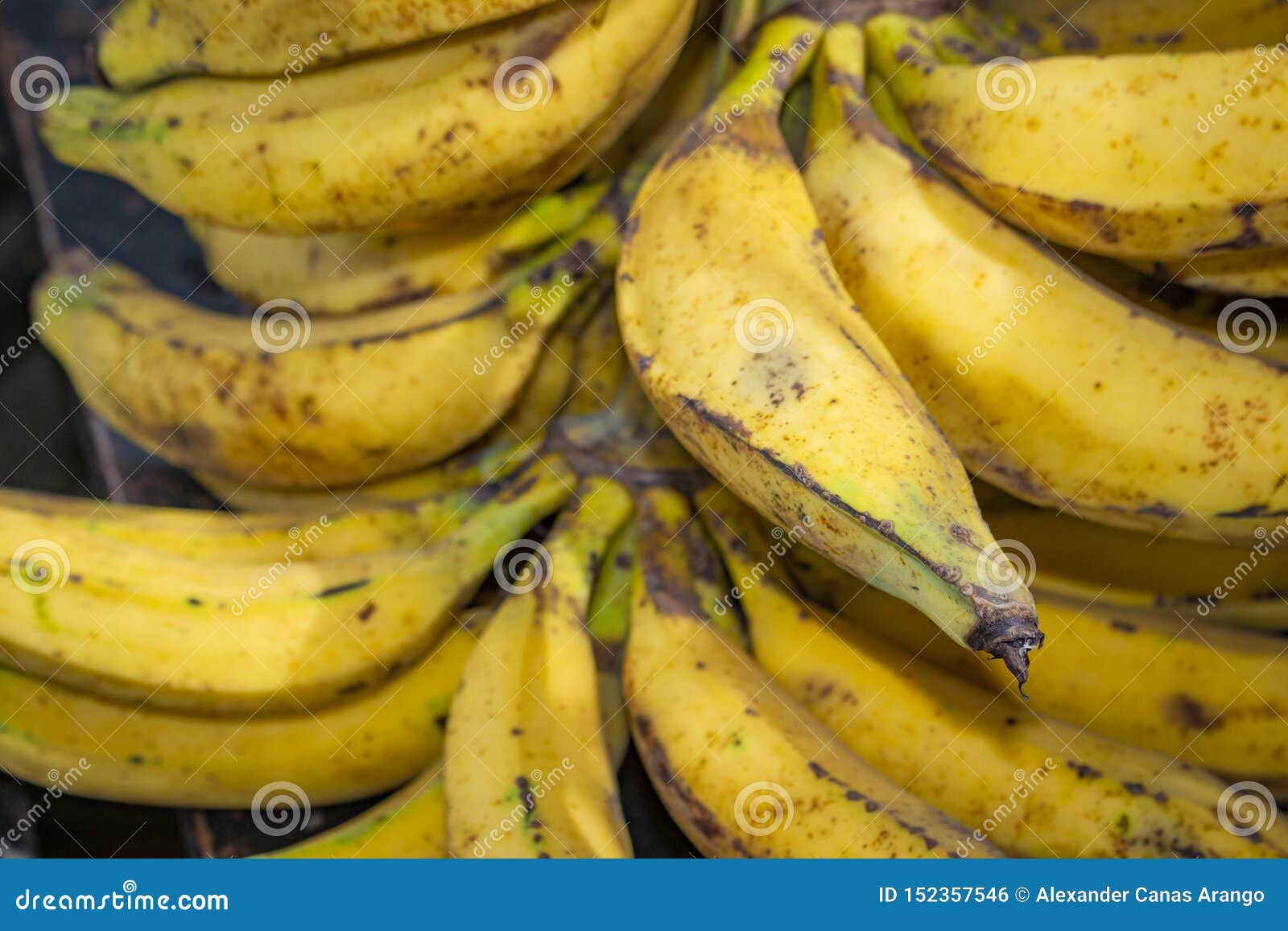 group of bananas yellow for sale