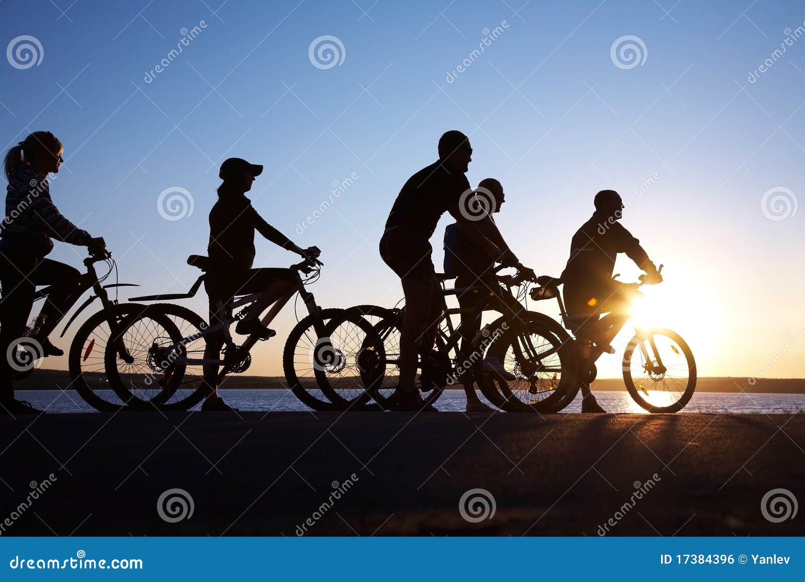group of bicycles