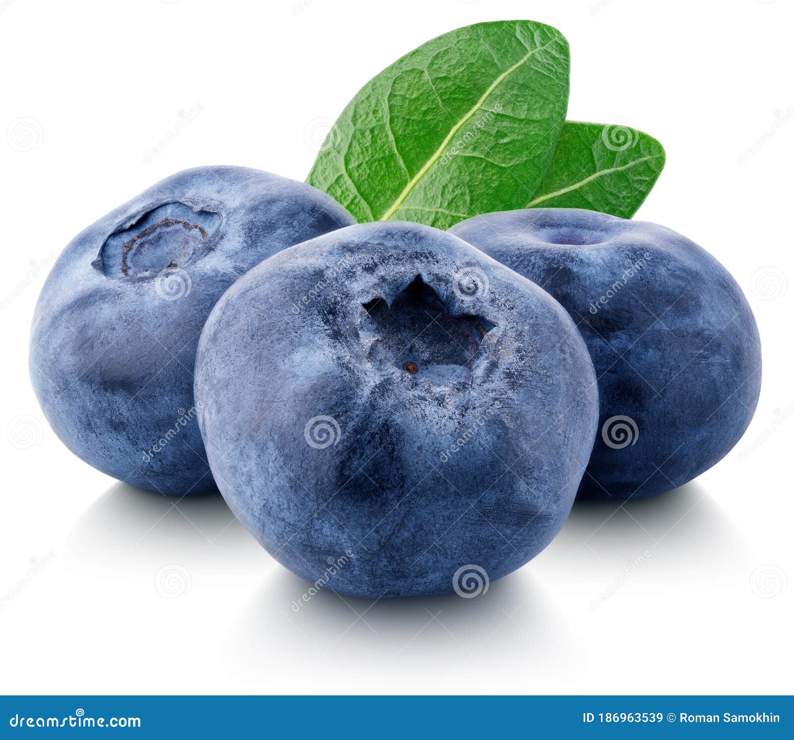 group of blueberry berry  on white