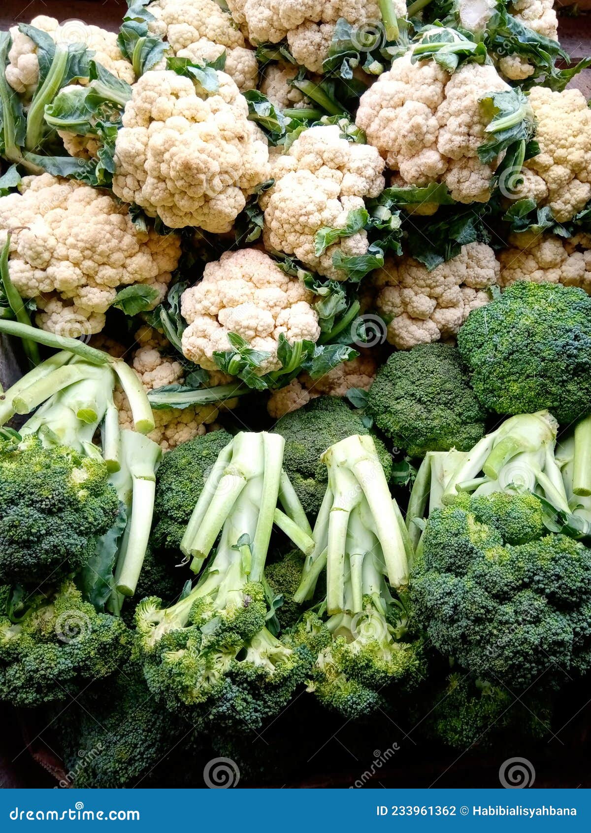 A Group of Broccoli in a Vegetable Market Stock Photo Image of market
