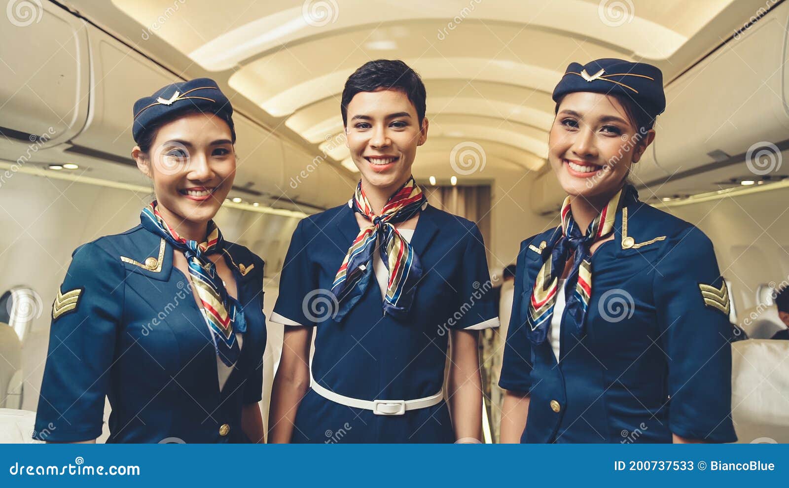 Group of Cabin Crew or Air Hostess in Airplane Stock Image - Image of  asian, airline: 200737533