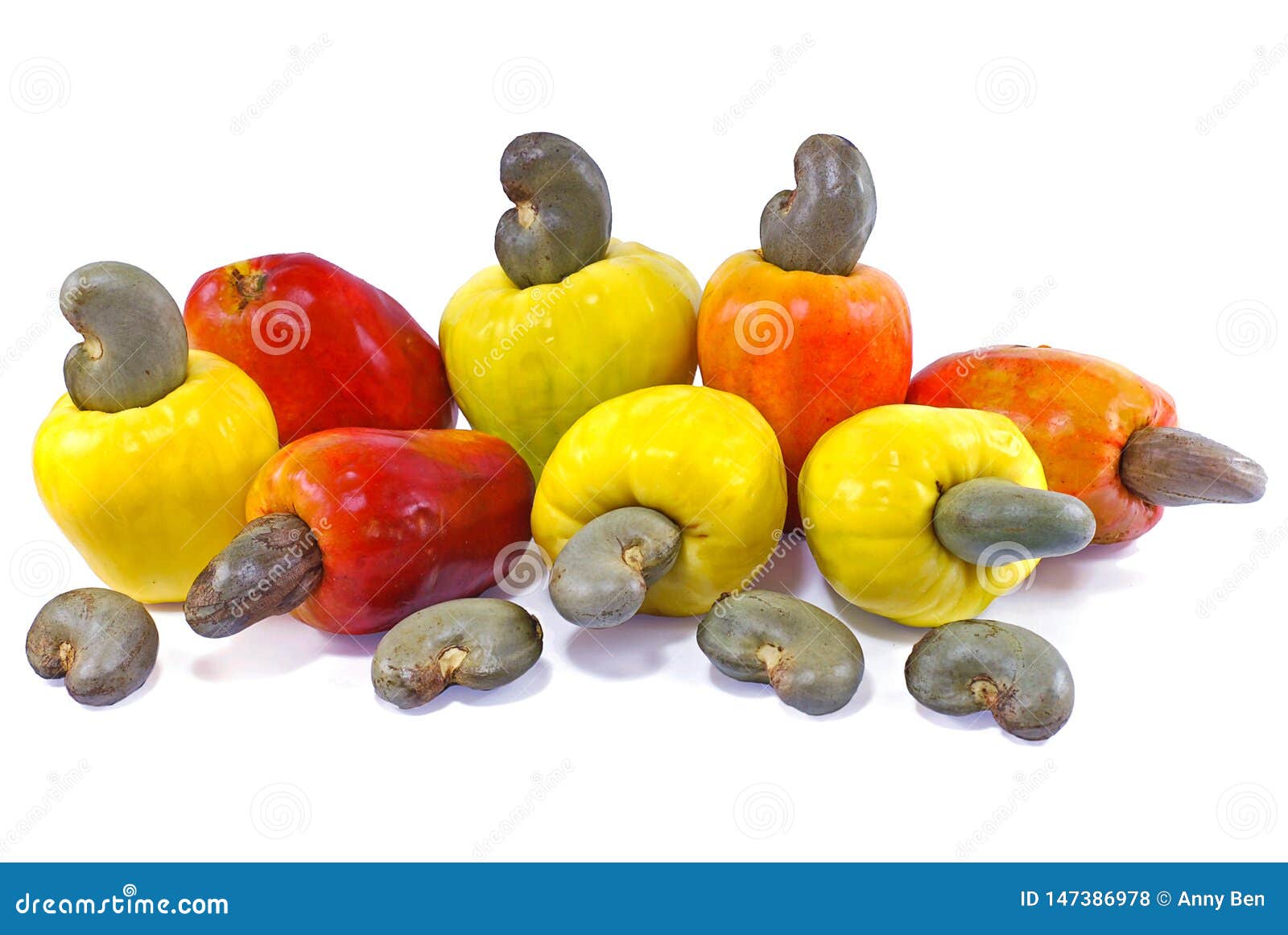 Cashew Fruit Isolated on White Background Stock Photo Image of nuts