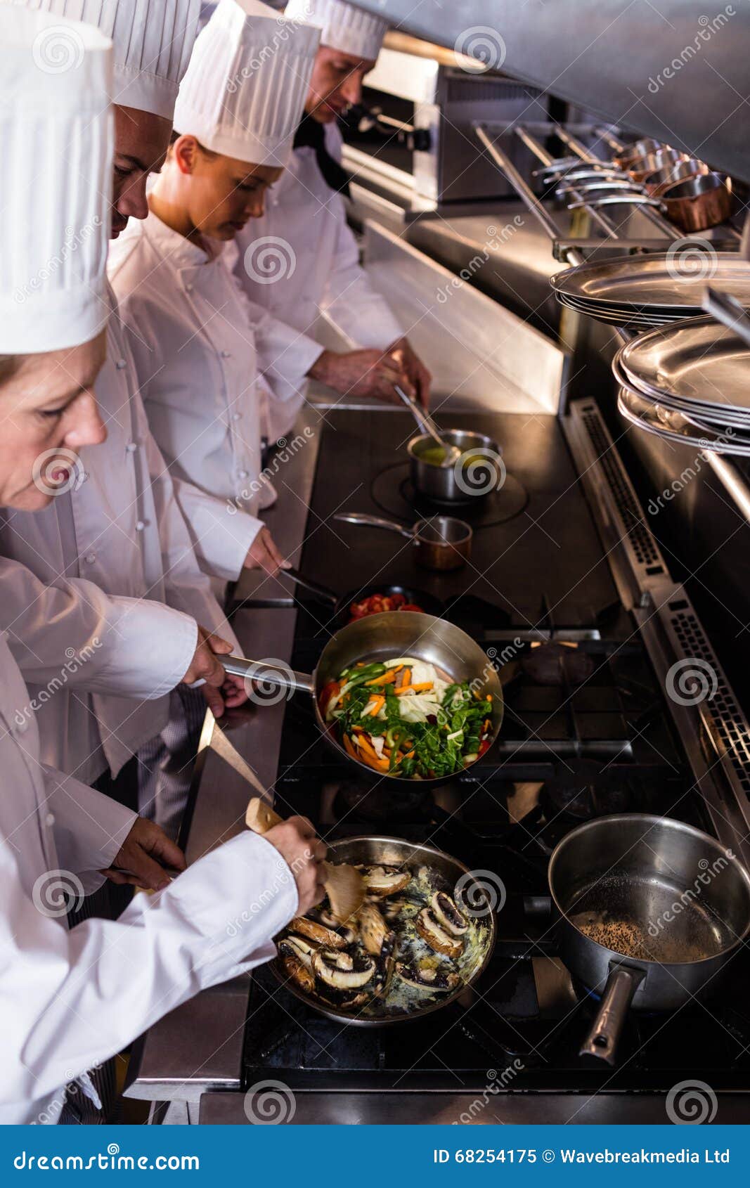 Group of Chef Preparing Food in the Kitchen Stock Image Image of