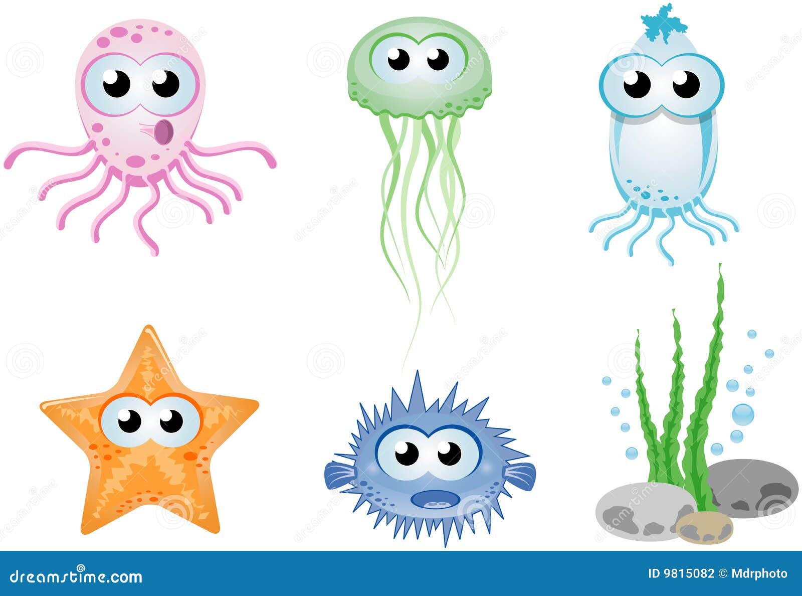 Group Of Colourful Sea Creatures Stock Photography Image 9815082