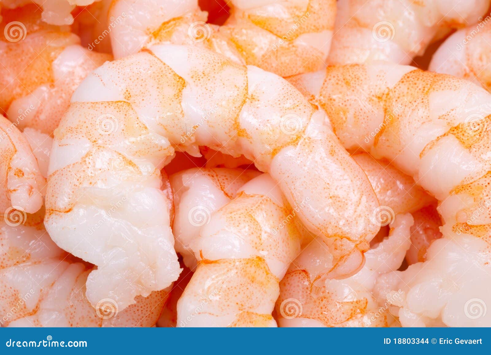 group of cooked prepared shrimp