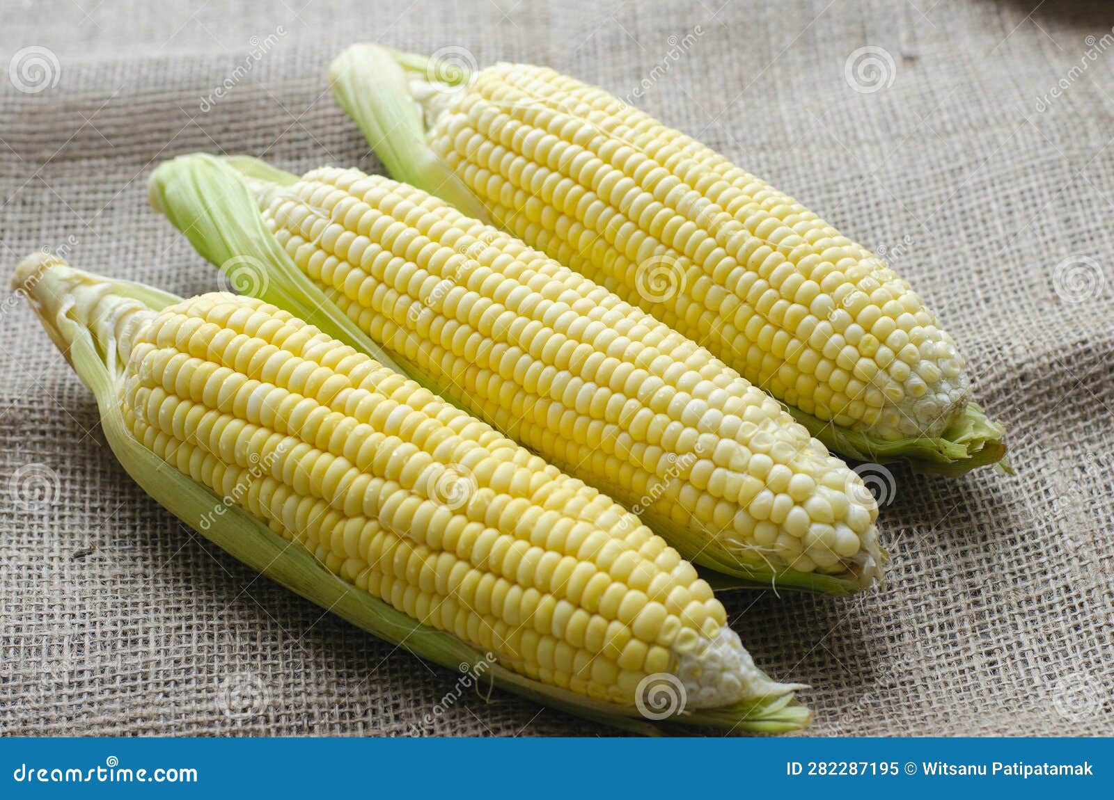 Group Corn Husks RoyaltyFree Stock Photo 78511635