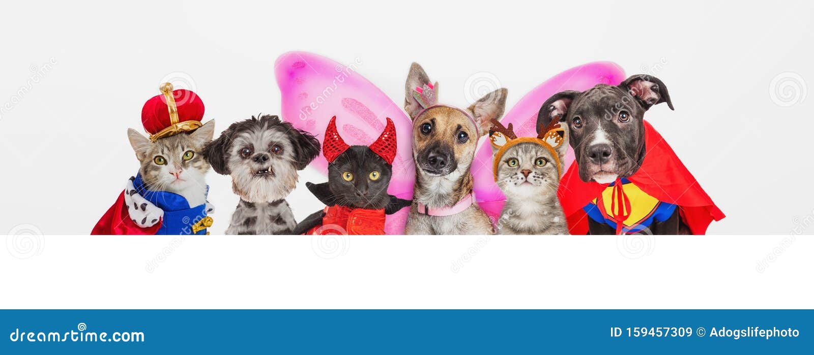 cute pets in halloween costumes over web banner