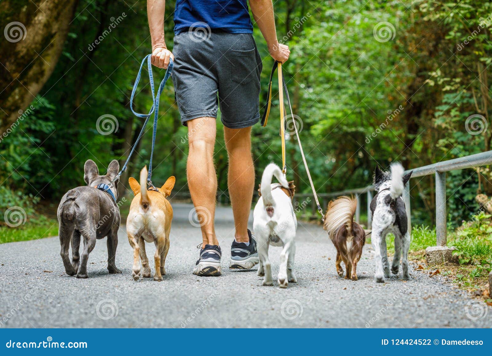 dog walking group near me