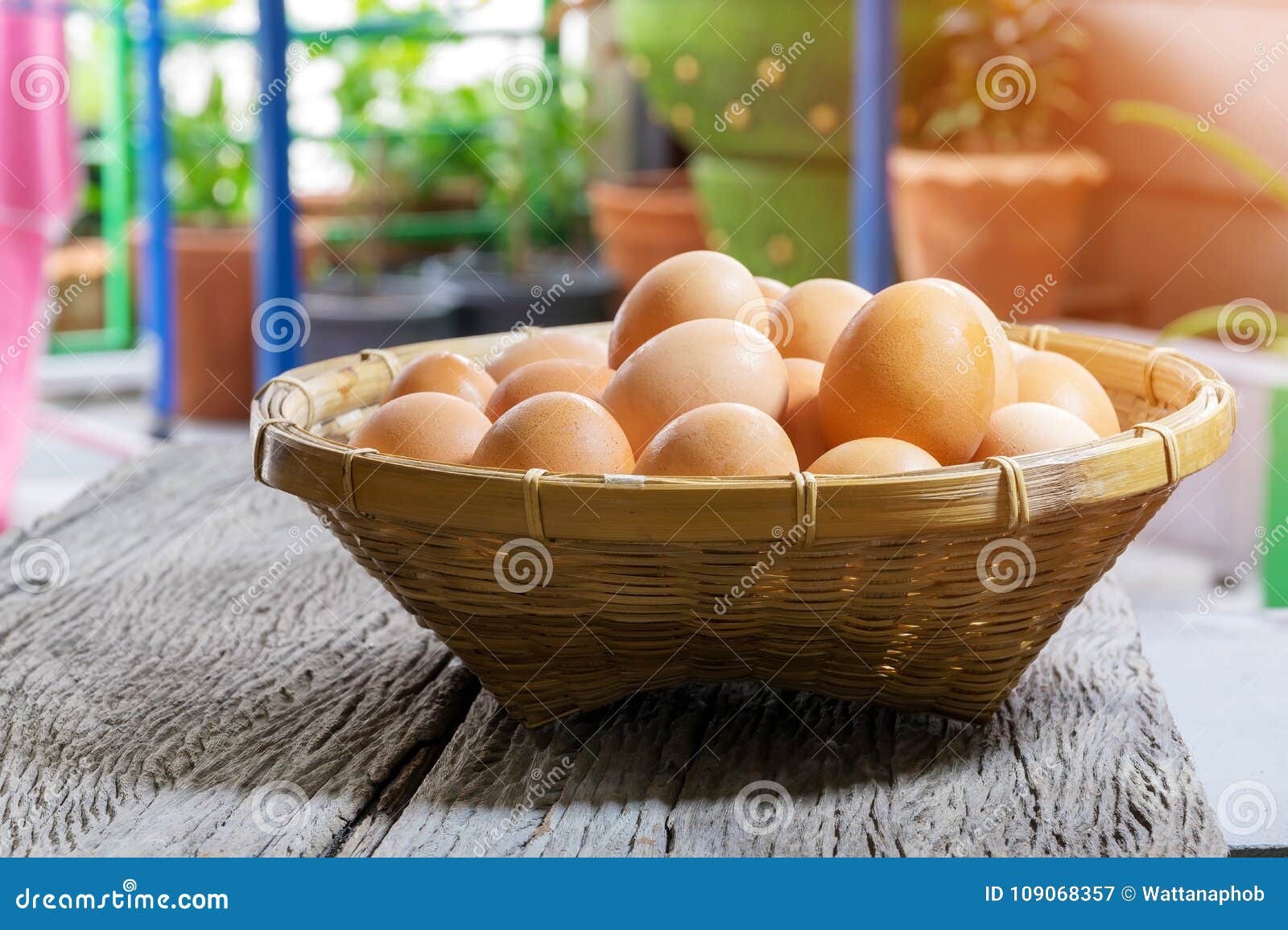 Group of Eggs in a Bamboo Basket Stock Image Image of bamboo, group