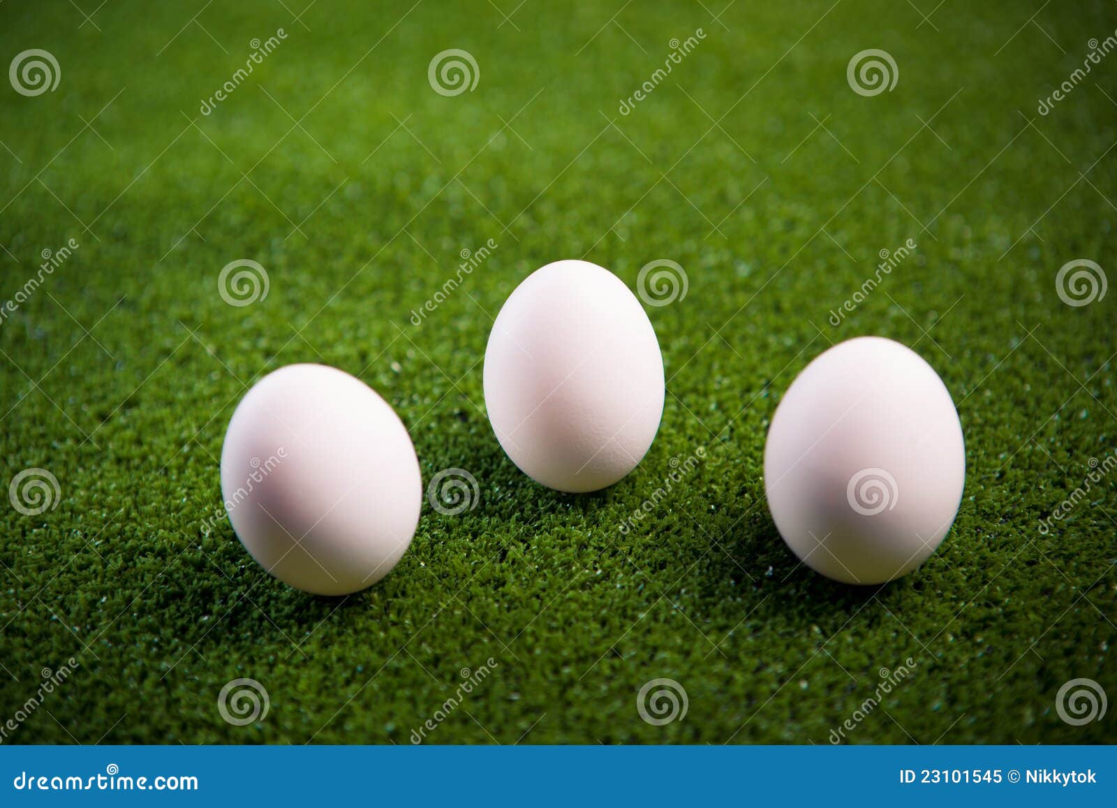 Group of eggs on the grass stock image. Image of chicken 23101545