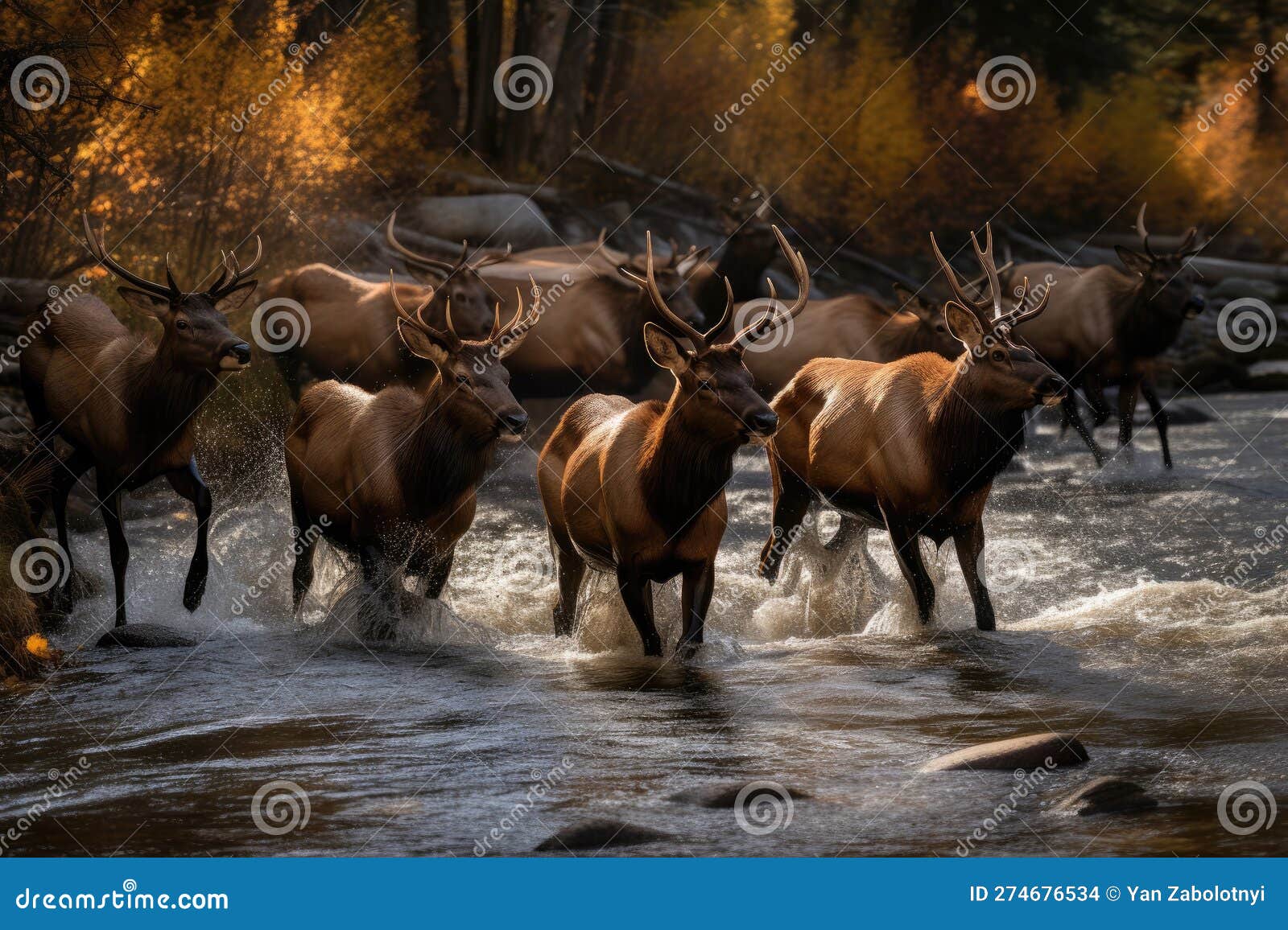 Group of Elk Crossing a Mountain Stream. Generative AI Stock