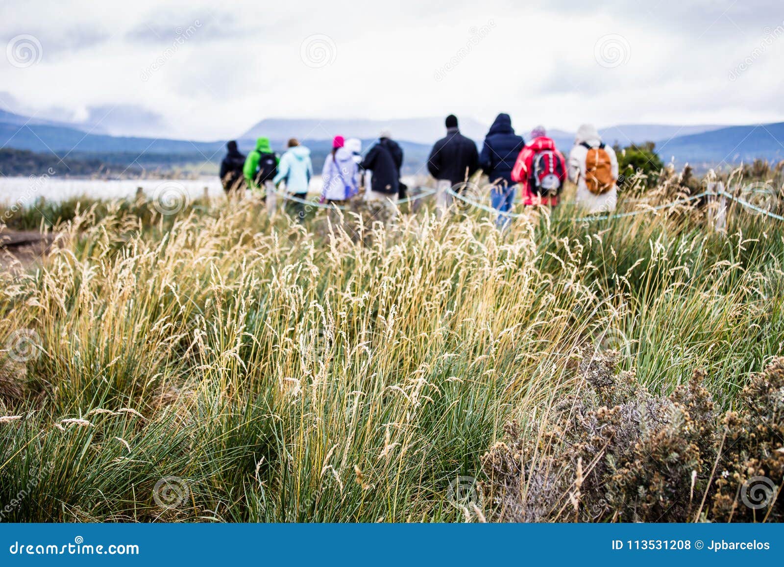 group of explorers walking in isla martillo to visit penguins, t