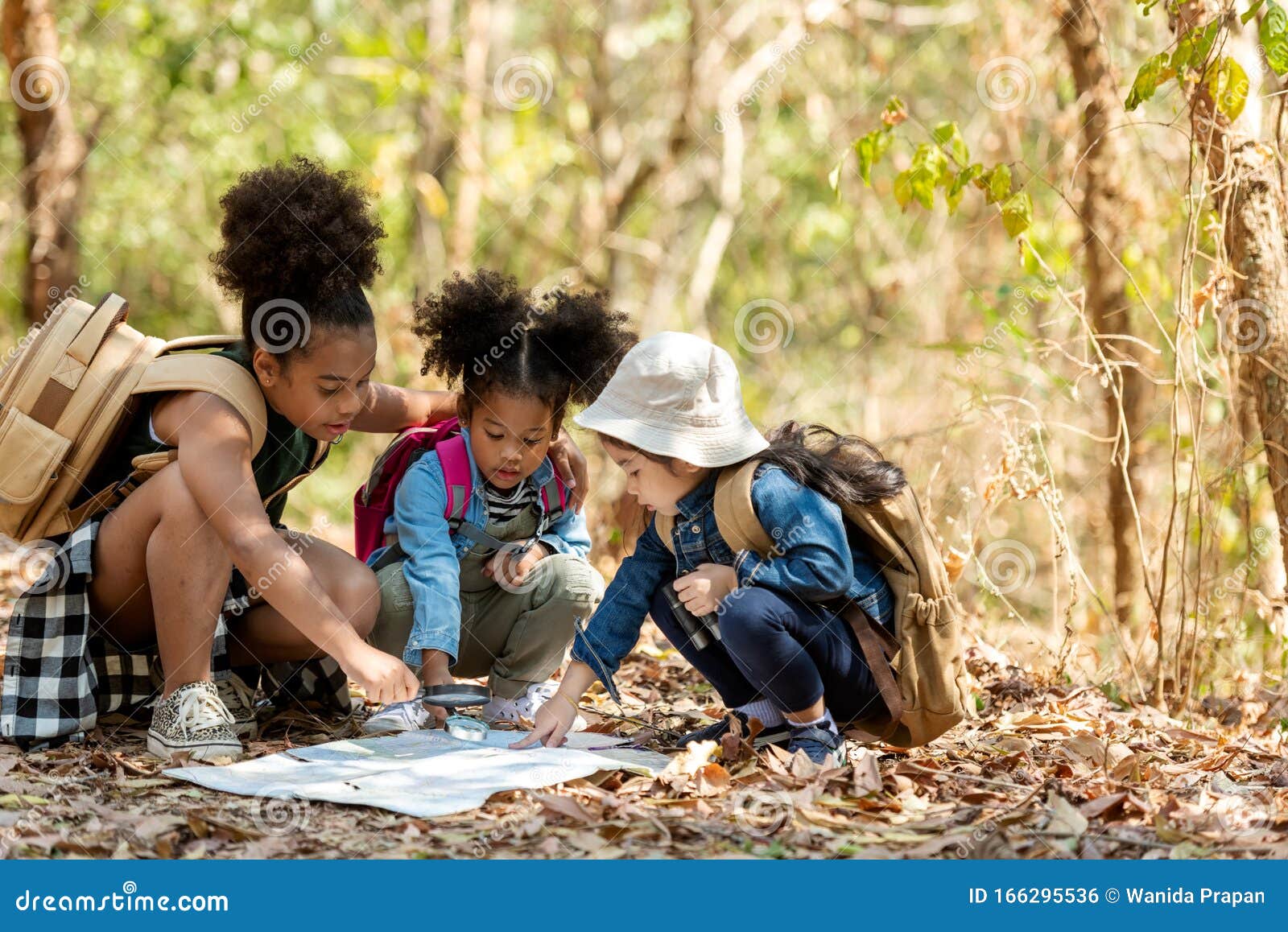 group family children checking map for explore and find directions in the camping jungle nature and adventure