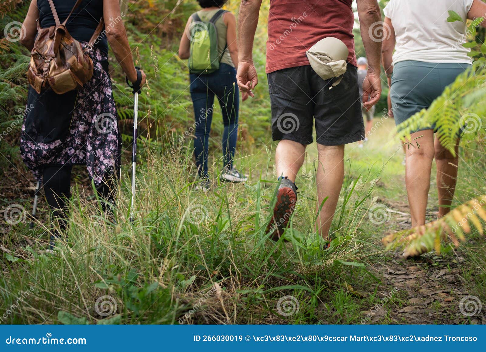 a group of five persons is hiking in a natural trail in o rosal