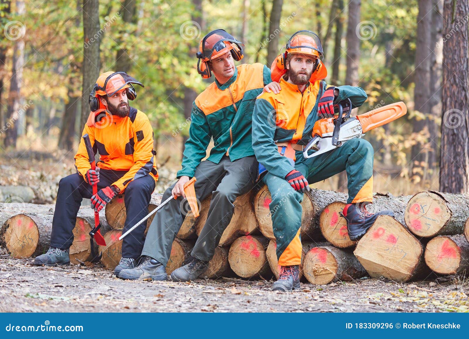 Group of Foresters at Forest Work in the Forest Stock Photo Image of nature, apprenticeship