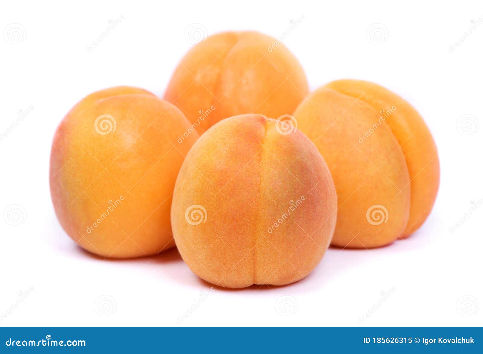 Group of Fresh Apricots Isolated Stock Image Image of healthy