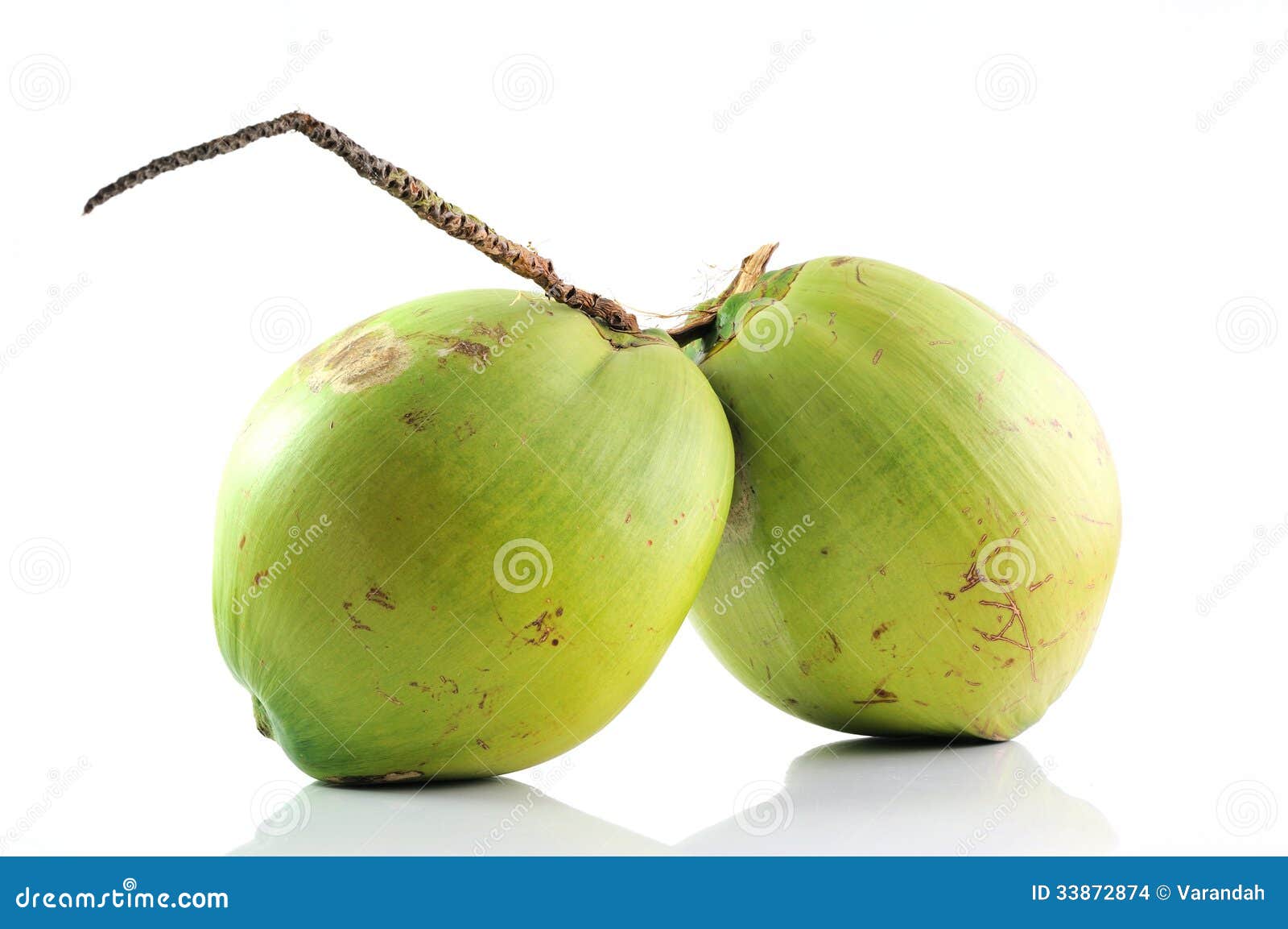 Group Of Fresh Coconut Fruits On White Background Stock Images - Image ...