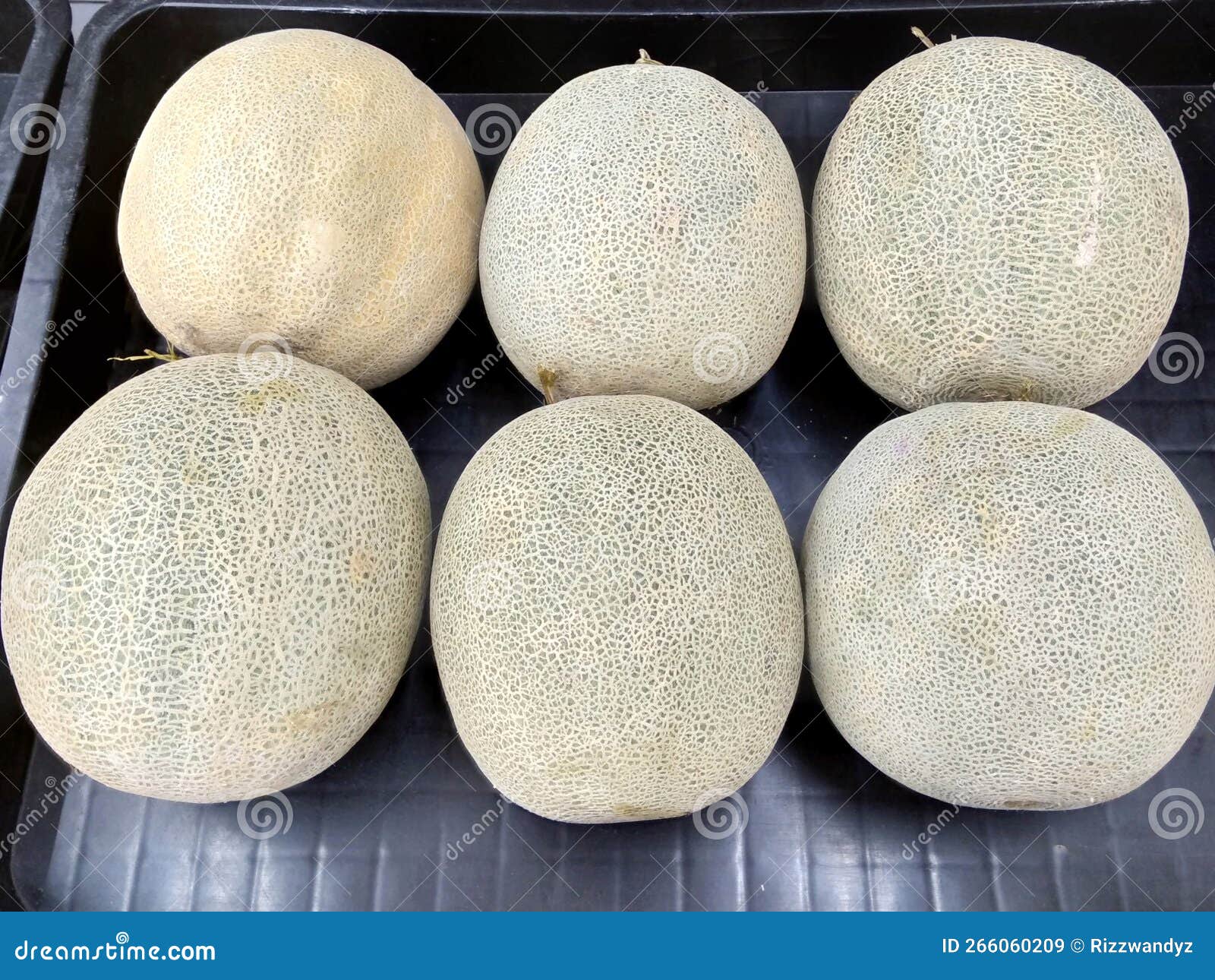 Group of Fresh Melon on the Market Stock Image Image of melon, vegetable 266060209
