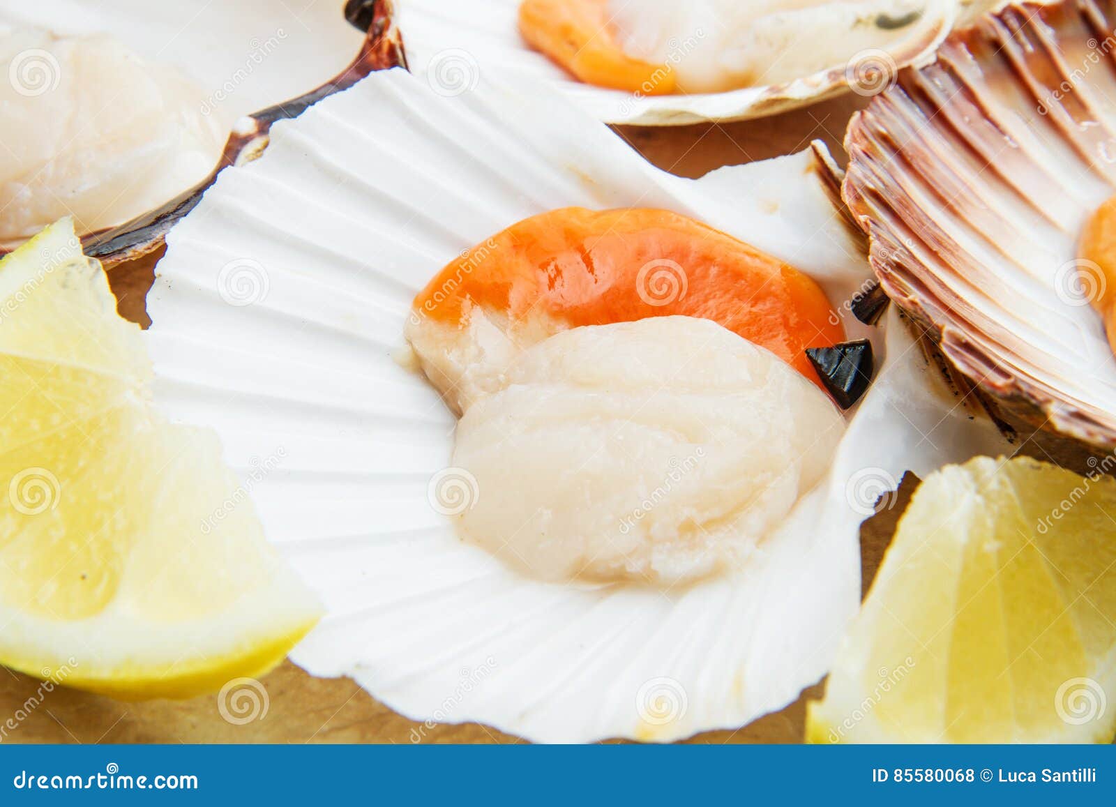 Group of fresh scallops stock photo. Image of cooking 85580068