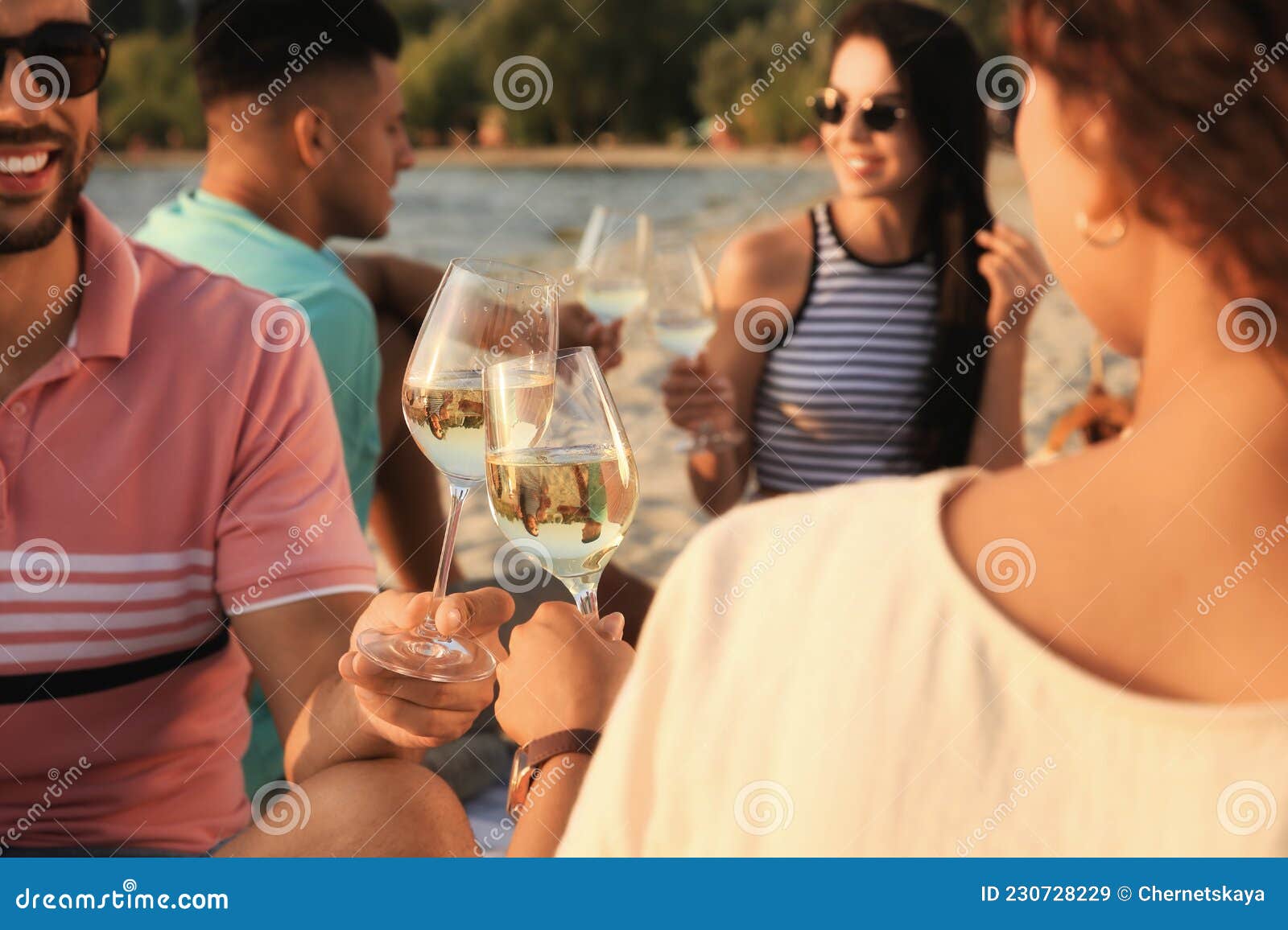 Group of Friends Having Picnic Outdoors at Sunset, Focus on Glasses