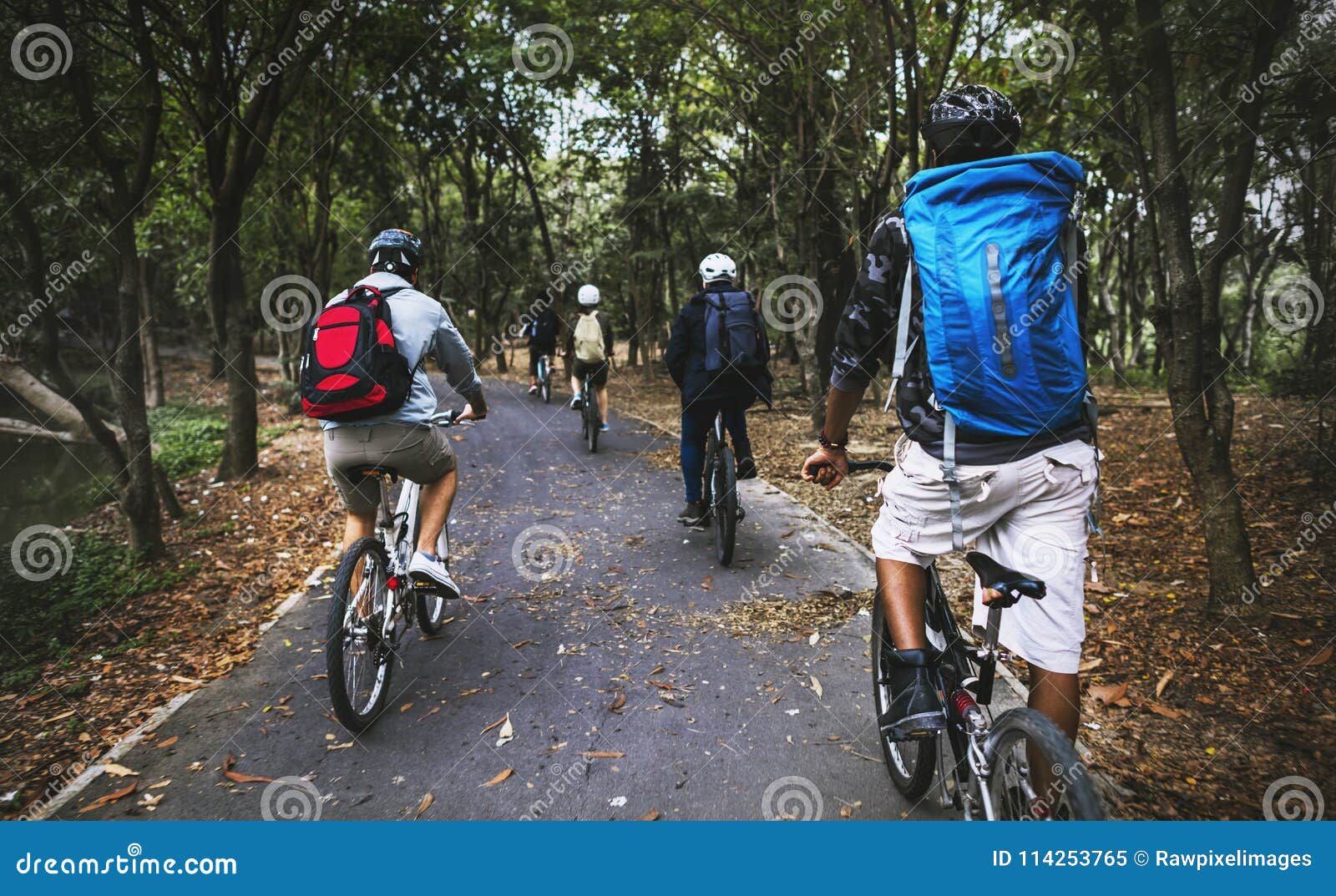 friends ride mountain bike in the forest