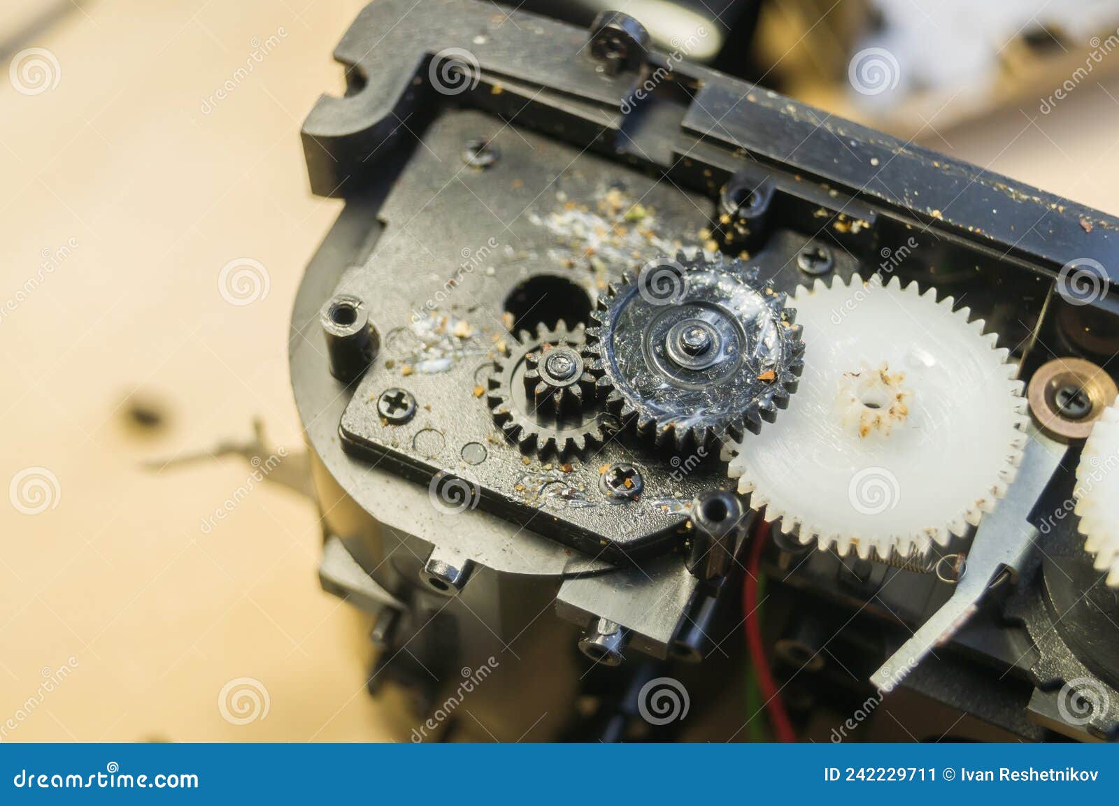 A Group of Gears of a Compact Camera To Be Repaired. Cleaning the Gears